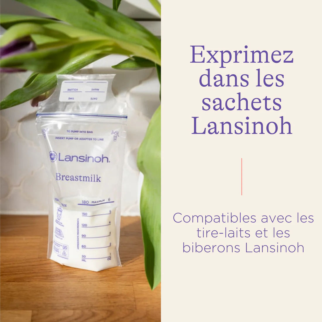 Sachets de conservation de lait maternel2